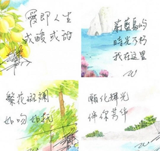 刘诗诗寻爱卡布里微电影下载